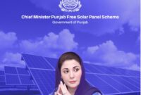 CM Punjab’s Free Solar Panel Scheme: A Game-Changer for Low-Income Families