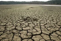 Sindh Faces Drought Warning Amid Record-Low Rainfall