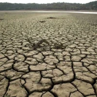 Sindh Faces Drought Warning Amid Record-Low Rainfall