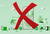 Bridging the Gap: TEMU’s Arrival as a Catalyst for E-Commerce Governance Reform in Pakistan
