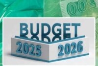 Construction Sector and Overseas Pakistanis Set to Gain Big in Upcoming Budget 2025-26