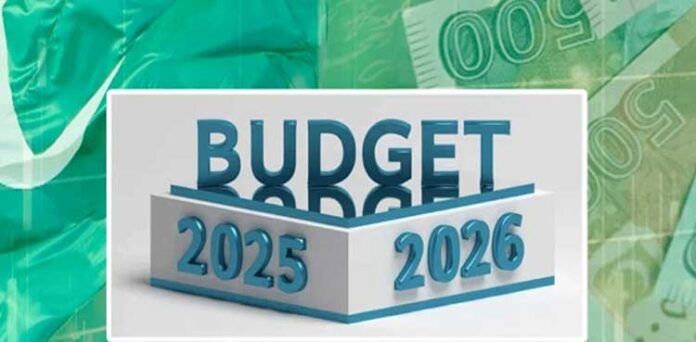 Construction Sector and Overseas Pakistanis Set to Gain Big in Upcoming Budget 2025-26