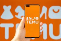 From Rs 250 to Rs 850 – How Temu’s Pricing Model Unraveled in Pakistan