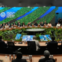 World Leaders Launch $125 Billion Fund to Save Forests, Secure First $5 Billion in Pledges
