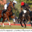 Diamond Paints and Master Paints Black Reach Semifinals of 14th Lahore Open Polo Championship